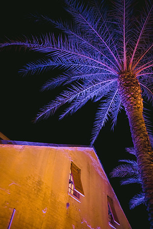 Wilsey_DW-583