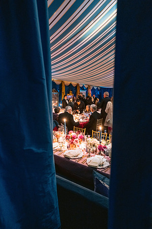 VanWyck_CaryWedding_DF-230