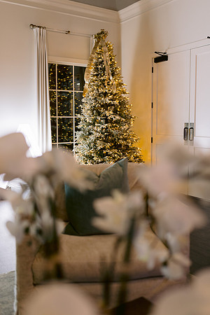 Avala_Xmas23_DF-8