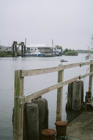 OckmanWedding_DW-6