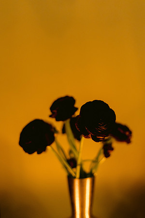 LeslieandPaul_DW-542
