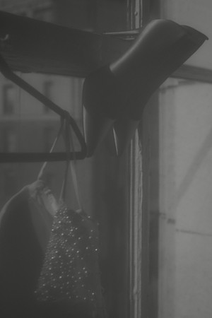 Shine_DW-22