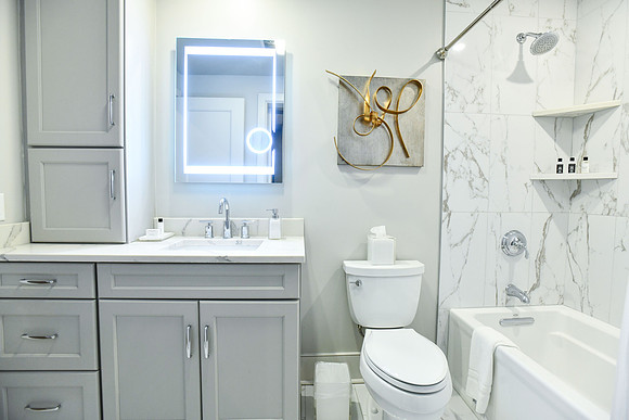 301baronne-9