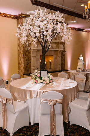 InoaWedding_DW-543