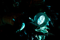 QL-Promo-2