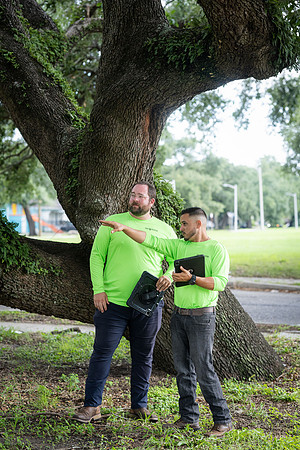TreeMasters_DH-14
