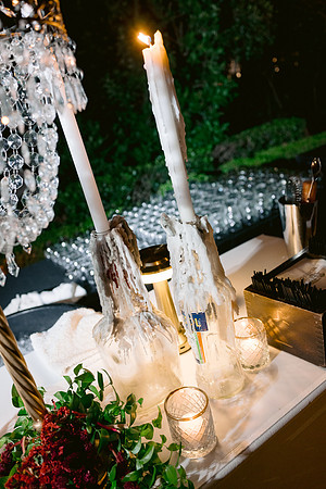AltadisEvent_ElmsMansion_DF-88