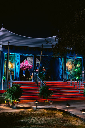 VanWyck_CaryWedding_DF-325