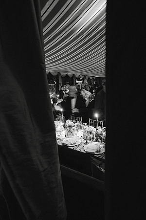 VanWyck_CaryWedding_DF-231