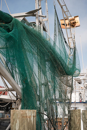 Ehrhardt Group_ OYSTER BRAND_df-3