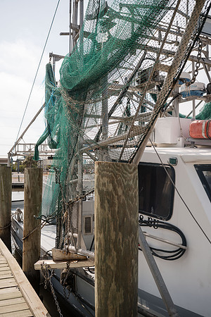 Ehrhardt Group_ OYSTER BRAND_df-5