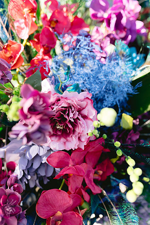 corcoran_DW-6