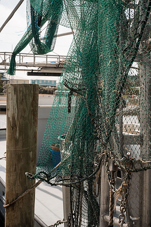 Ehrhardt Group_ OYSTER BRAND_df-4