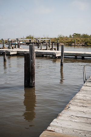 Ehrhardt Group_ OYSTER BRAND_df-17