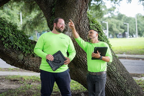 TreeMasters_DH-23