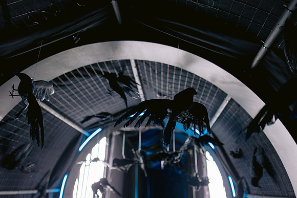 QueensLabyrinth_2024-72