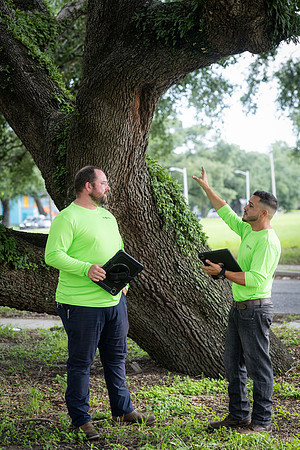 TreeMasters_DH-13