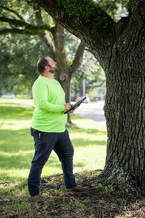 TreeMasters_DH-4